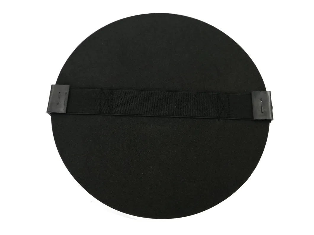 8 Inch 200mm Round Black Self-Adhesive Polishing Pad with Sandpaper Buffing