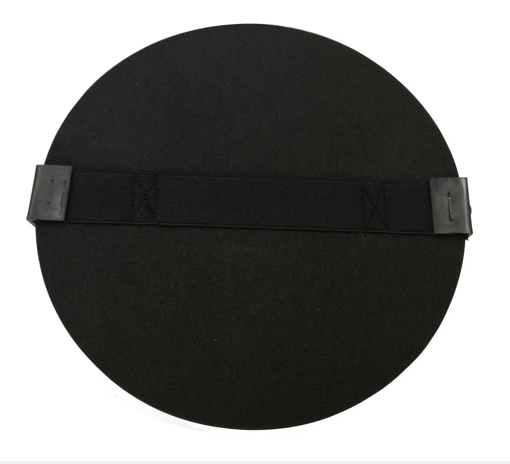 8 Inch 200mm Round Black Self-Adhesive Polishing Pad with Sandpaper Buffing