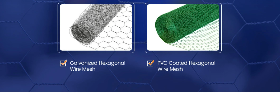 Leadwalking PVC Wire Material PVC Coated Hexagonal Chicken Wire Suppliers China 100mm Mesh 1-Inch Galvanized Hexagonal Wire Mesh